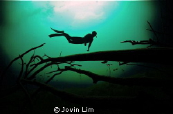 @ Cenote Car Wash (Aktun Ha) by Jovin Lim 